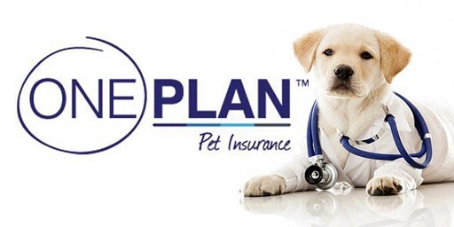one-plan-pet-insurance-1024x512